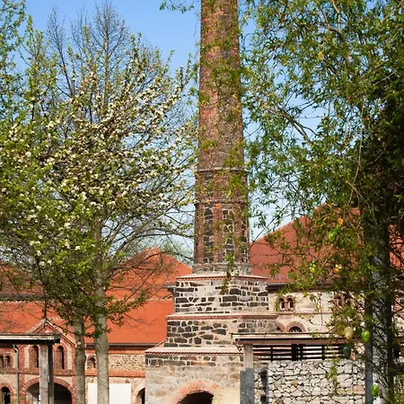 Ferienhaus Tinyhousebeidresden In Absoluter Alleinlage Direkt Am Naturteich Große Terrasse Grill Und Kaminofen Juni - September Mindestmietzeit 1 Woche Sa- Sa Lauterbach (Rugen)