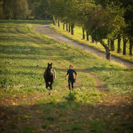 Ferienhaus Tinyhousebeidresden In Absoluter Alleinlage Direkt Am Naturteich Große Terrasse Grill Und Kaminofen Juni - September Mindestmietzeit 1 Woche Sa- Sa