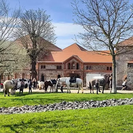 Tinyhousebeidresden In Absoluter Alleinlage Direkt Am Naturteich Große Terrasse Grill Und Kaminofen Juni - September Mindestmietzeit 1 Woche Sa- Sa Ferienhaus