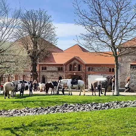 Prázdninový dům Tiny House In Absoluter Alleinlage Direkt Am Naturteich Grosse Terrasse Grill Und Kaminofen Juni - September Mindestmietzeit 1 Woche Sa- Sa Großharthau